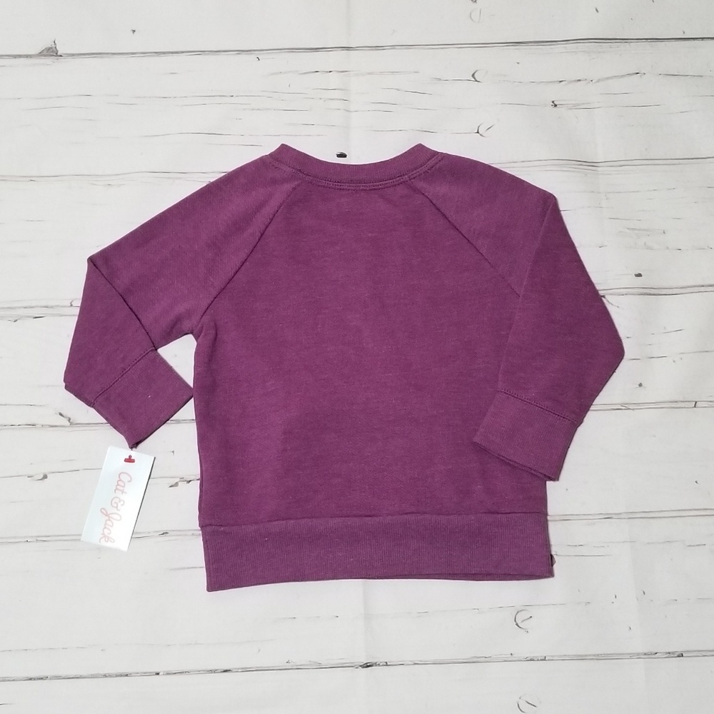 CAT & JACK Baby Halloween Pullover Sweatsh… - Picture 4 of 6